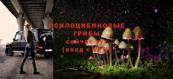 ECSTASY Балахна