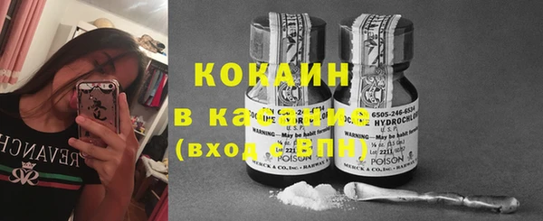 2c-b Рославль